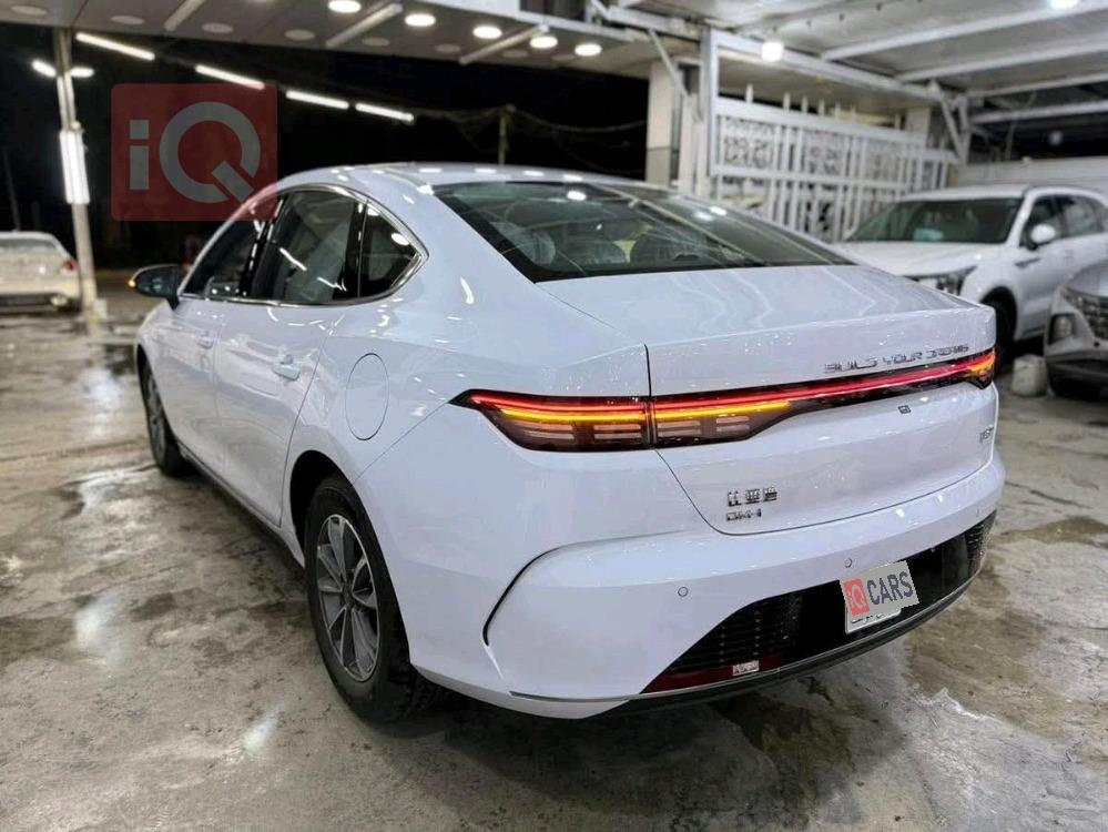 بی وای دی دیسترۆیەر 05